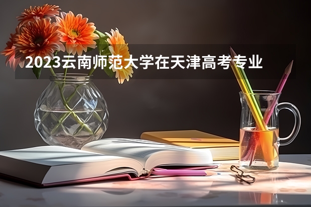 2023云南师范大学在天津高考专业招了多少人