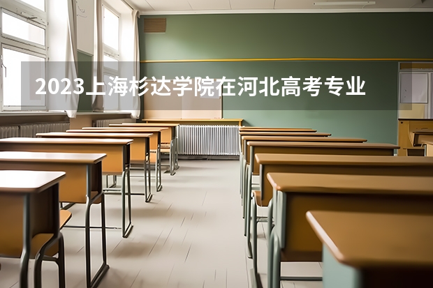 2023上海杉达学院在河北高考专业招了多少人