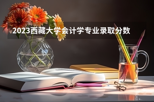 2023西藏大学会计学专业录取分数 西藏大学会计学专业往年录取分数参考