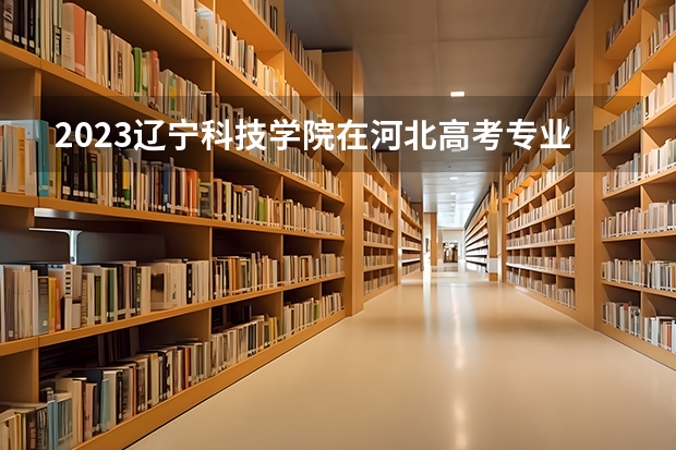 2023辽宁科技学院在河北高考专业招了多少人