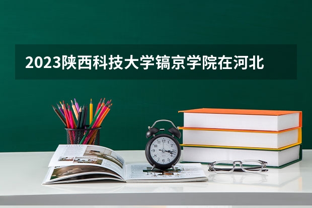 2023陕西科技大学镐京学院在河北高考专业招了多少人