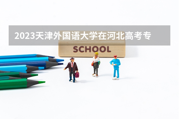2023天津外国语大学在河北高考专业招了多少人