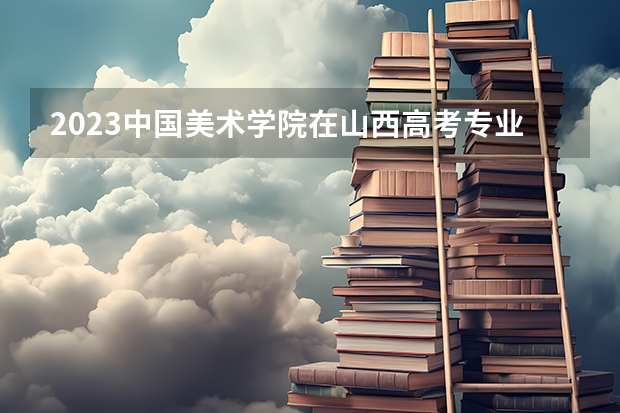 2023中国美术学院在山西高考专业招了多少人