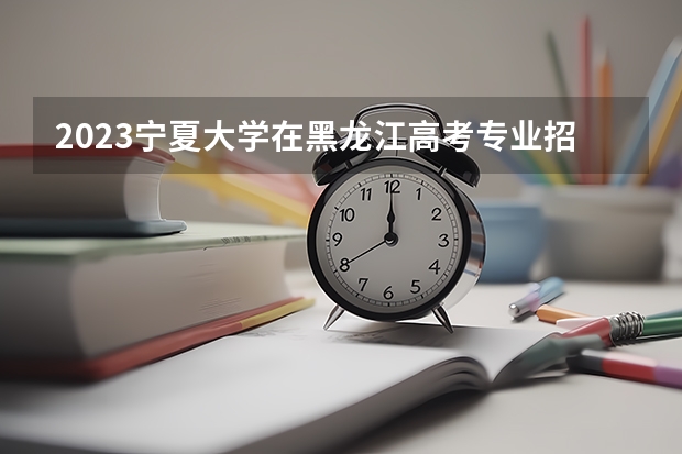 2023宁夏大学在黑龙江高考专业招了多少人