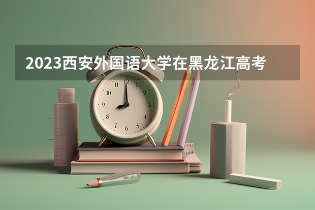 2023西安外国语大学在黑龙江高考专业招了多少人