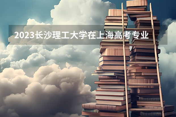2023长沙理工大学在上海高考专业招了多少人